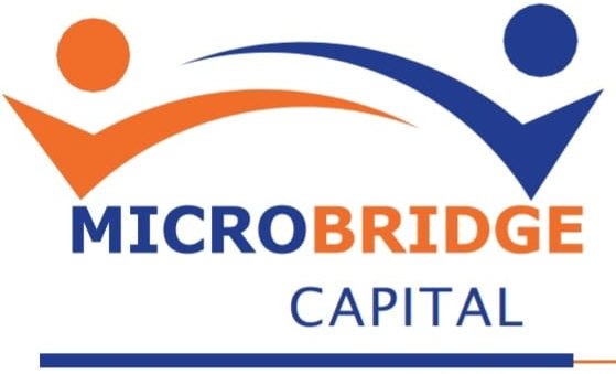 Microbridge Capital Limited